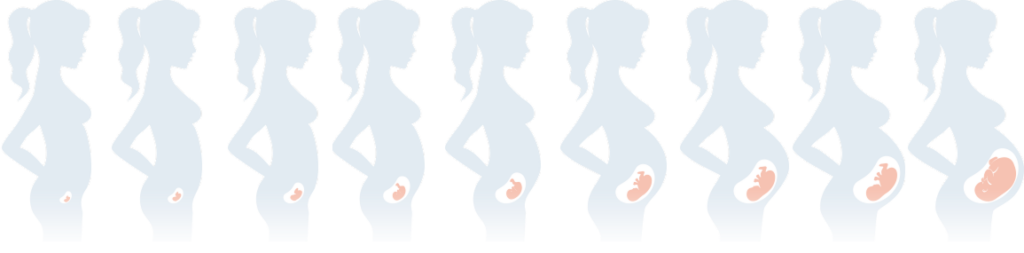 pregnancy care